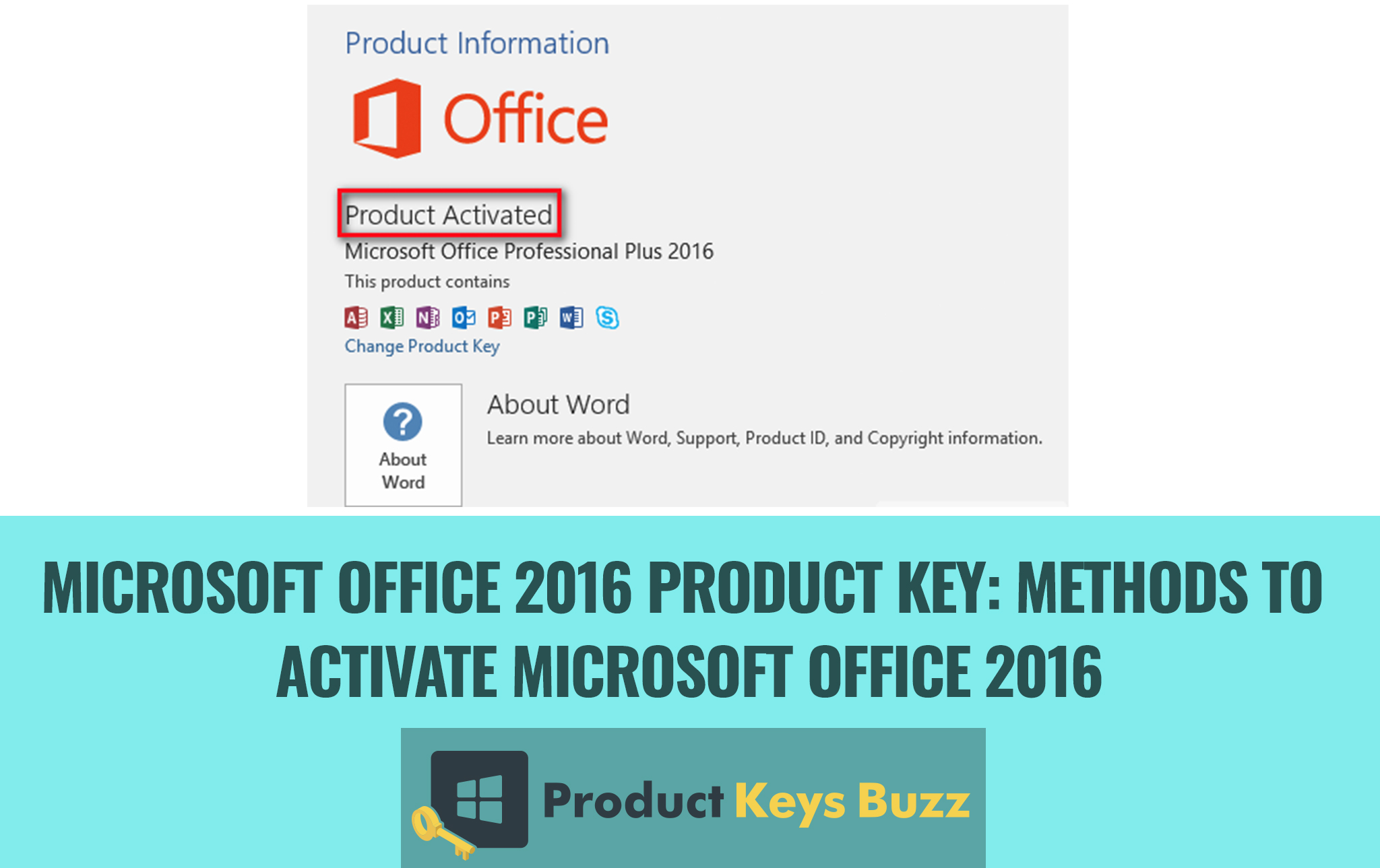 Microsoft Office 2016 Mac Mega Upload